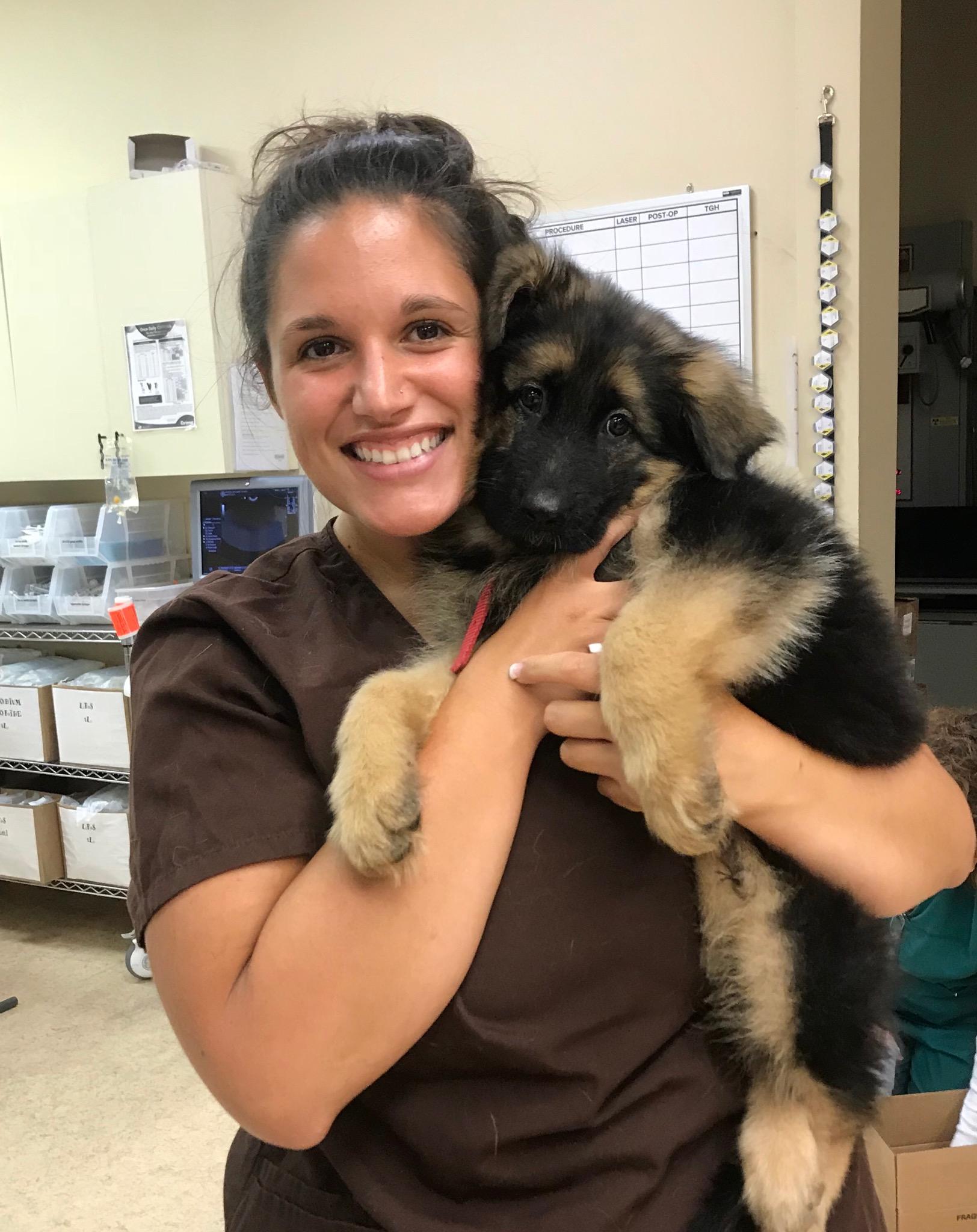 Vet holding a puppy
